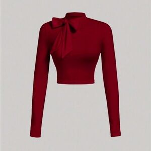 Burgundy Long Sleeve Bow Top NEW 🏷️